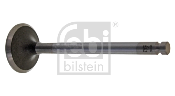 Intake Valve